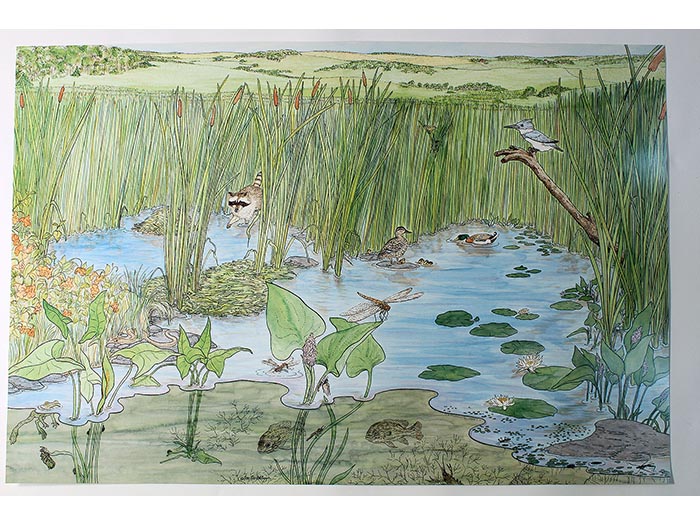 Cattail Marsh poster